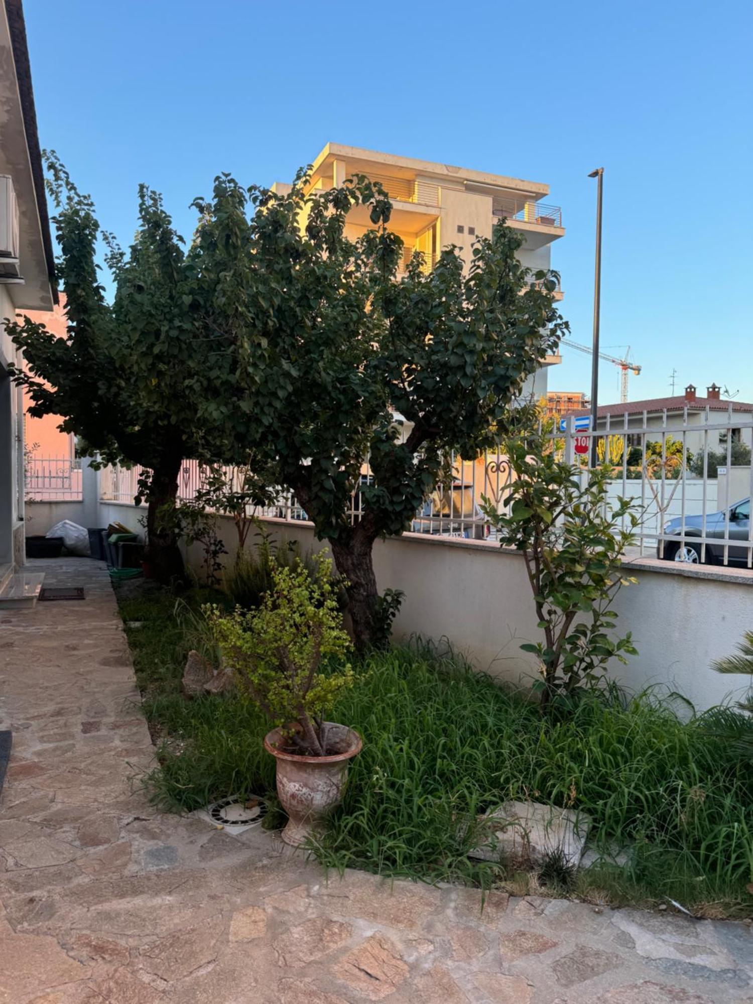 Da Gio Leilighet Olbia Eksteriør bilde